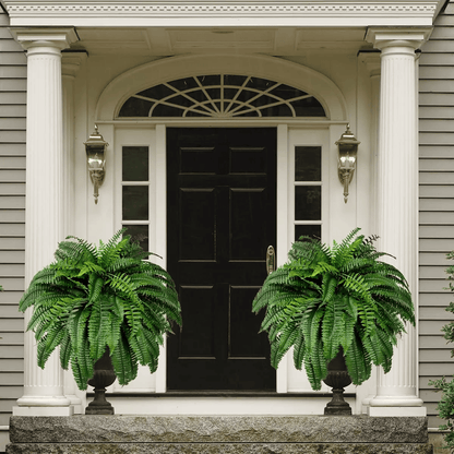 🍀Last Day 75% OFF--UV Resistant Lifelike Artificial Boston Fern🍀