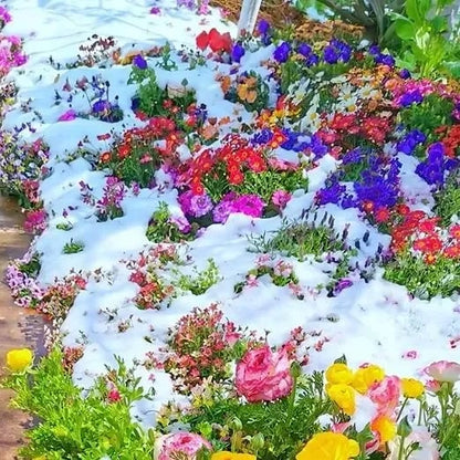 🍀Mixed Perennial Flowers for All Seasons – 30+ Kinds💐🌸🌺