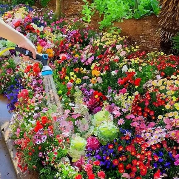 🍀Mixed Perennial Flowers for All Seasons – 30+ Kinds💐🌸🌺