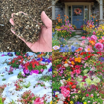 🍀Mixed Perennial Flowers for All Seasons – 30+ Kinds💐🌸🌺