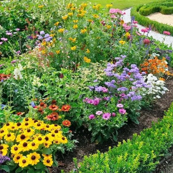 🍀Mixed Perennial Flowers for All Seasons – 30+ Kinds💐🌸🌺