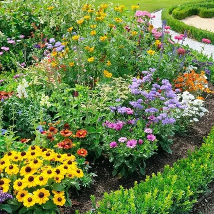 🍀Mixed Perennial Flowers for All Seasons – 30+ Kinds💐🌸🌺