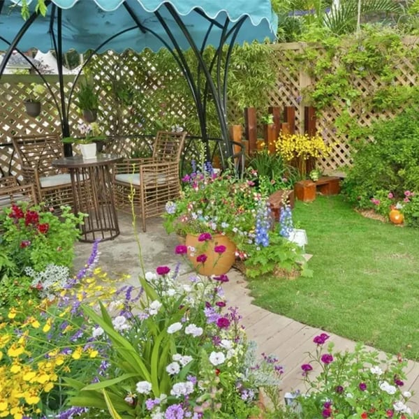 🍀Mixed Perennial Flowers for All Seasons – 30+ Kinds💐🌸🌺