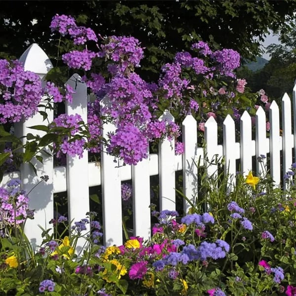 🍀Mixed Perennial Flowers for All Seasons – 30+ Kinds💐🌸🌺