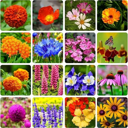 🍀Mixed Perennial Flowers for All Seasons – 30+ Kinds💐🌸🌺