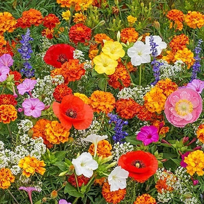 🍀Mixed Perennial Flowers for All Seasons – 30+ Kinds💐🌸🌺