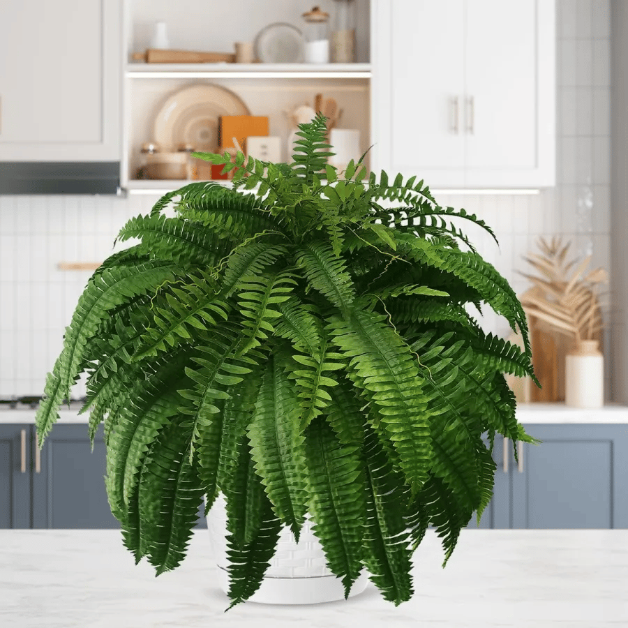 🍀Last Day 75% OFF--UV Resistant Lifelike Artificial Boston Fern🍀