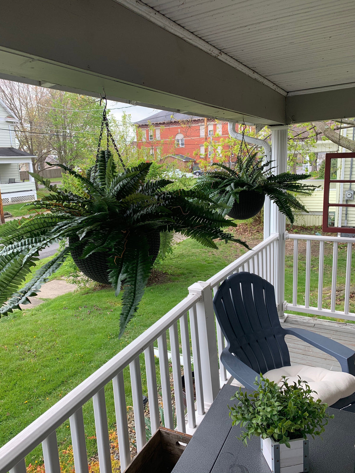 🍀Last Day 75% OFF--UV Resistant Lifelike Artificial Boston Fern🍀