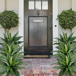🍀Last Day 75% OFF--UV Resistant Lifelike Artificial Boston Fern🍀